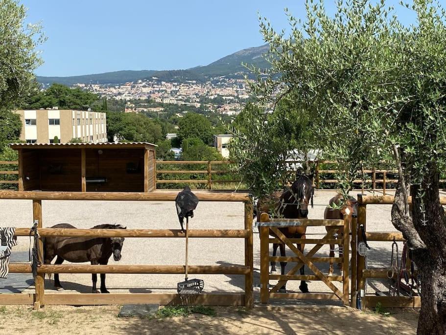 La Bastide De Jean Maison De Charme Dans Un Domaine Equestre Prive グラース エクステリア 写真