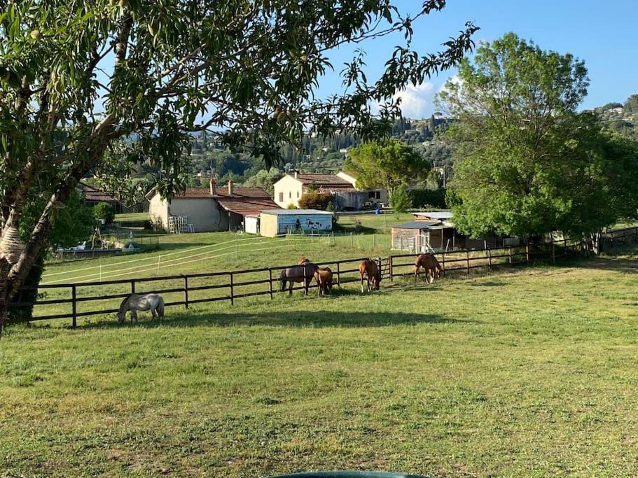 La Bastide De Jean Maison De Charme Dans Un Domaine Equestre Prive グラース エクステリア 写真